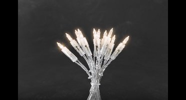 Konstsmide 6304 - Snoerverlichting - 100 lamps pizello LED snoer - rechte lijn - transp snoer - 1485 cm - 230V - voor binnen - warmwit