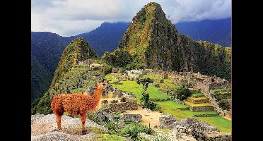 Puzzel - Machu Picchu, Peru (1000)
