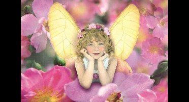 Legpuzzel - 1000 stukjes - Elfje, Rose, Educa puzzel