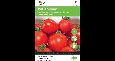 Buzzy zaden - Tomaten - Heartbreaker Vita F1 10 zaden