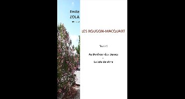 Rougon-Macquart 6 - LES ROUGON-MACQUART