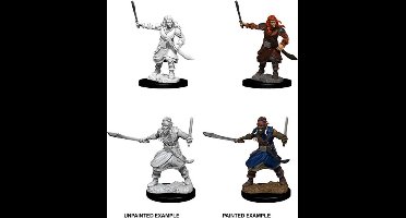 D&D Nolzur's Marvelous Miniatures - Bandits