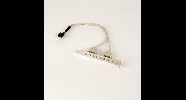 Pin Header bracket USB2.0 (v) - 2x USB-A (v) - 0,25 meter