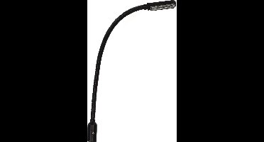 EUROLITE Flexilight LED Gooseneck, XLR