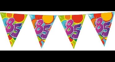 Vlaggenlijn leeftijd 85 jaar - 10m Haza