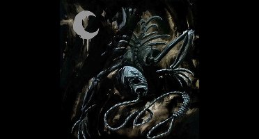 A Silhouette In Splinters - Leviathan