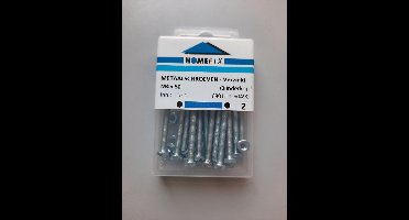 Homefix Metaalschroef VZ CK PH-2 + Moer M4x50 - 15 stuks
