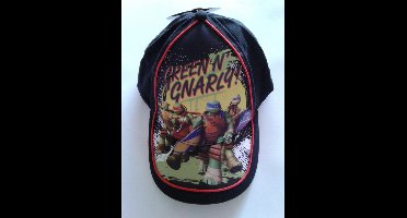 Turtles Cap/Pet zwart voor kinderen maat 54 cm