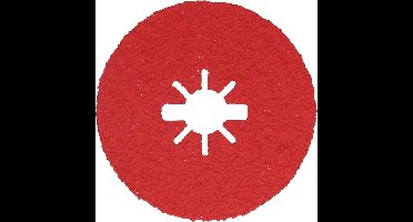 Bosch Fiberschijf Xlock 125 k36