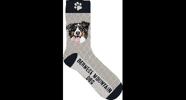Plenty Gifts Sokken Bernese Mountain Dog Polyester Maat 31-36