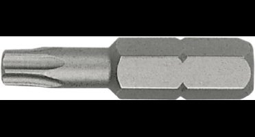 Ivana schroefbit Torx T25 1/4inchx25mm (5st)