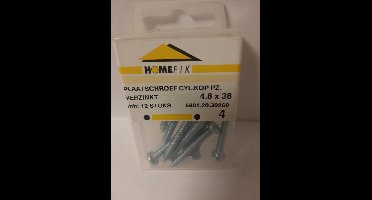 Homefix Plaatschroef Cyl.Kop.PZ