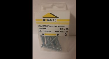 Homefix Plaatschroef Cyl.Kop.pz