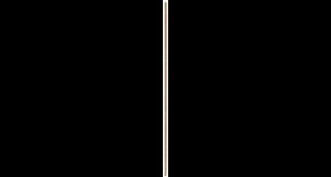 Super Prof 6.013.21 Losse houten steel voor bezem - 1500mm