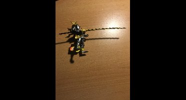 Ridder zwart/goud 0350