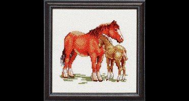 Pako Borduurpakket met tel patroon- Paard met veulen - 214.452 - voorgesorteerd garen - Aida - 17 x 17 cm - DIY kit