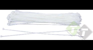Kabelbinders Wit 2,5 x 100 mm, Tiewraps, Tieraps, 100 delig
