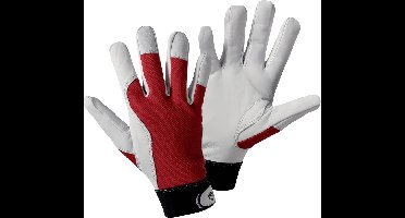 Leipold Doehle 1706-8 Montagehandschoen Geiten nappaleer Maat (handschoen): 8, M EN 388:2016 Cat II 1 paar