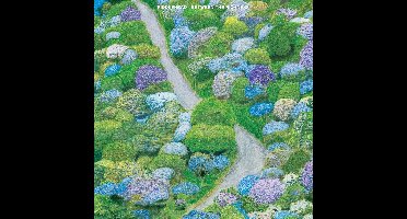 Fiddlehead - Between the Richness (LP) (Coloured Vinyl)