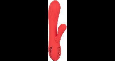 CALIFORNIA EXOTICS | Calex Palisades Passion Red