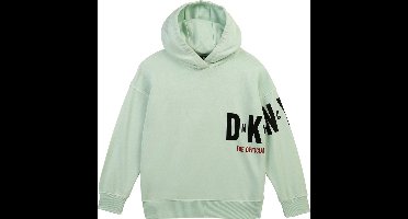 Dkny Hoodie Groen 12 Years