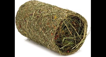 BEEZTEES BZ KN HOOITUNNEL Klein 20X14