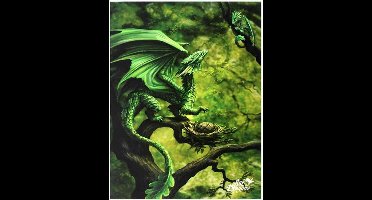Anne Stokes - Forest Dragon - Canvas afbeelding