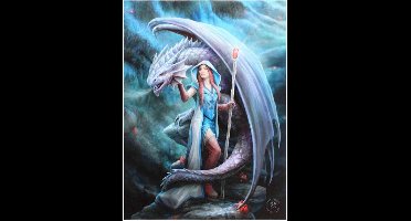 Anne Stokes - Dragon Mage - Canvas afbeelding
