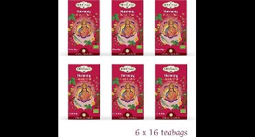 Shoti Maa klassieke Chai thee BIO - 38.4 - Biologisch (6 stuks) - M