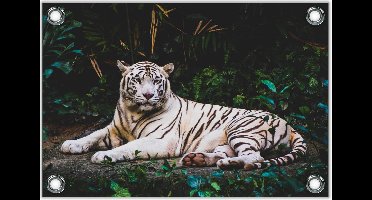 Tuinposter–Witte Tijger– 40x30 Foto op Tuinposter (Wanddecoratie voor buiten en binnen)