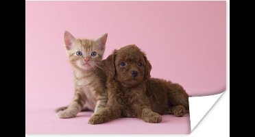 Poster Kat - Hond - Roze - 30x20 cm