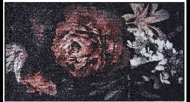 MD Entree - Design mat - Universal - Bella Rosa - Vloerkleed - Antislip - Machine wasbaar - 67 x 120 cm