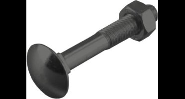 Slotbout met moer. M6 x 60mm. lang. Verzinkt. 6 stuks Houtbout. Homefix