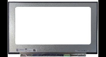 LCD Scherm geschikt voor Medion Erazer Beast X10 (144Hz)