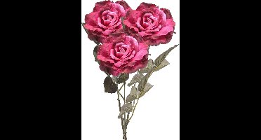 Emerald Kunstbloem roos Pascal - 3x - fuchsia - 65 cm - decoratie bloemen