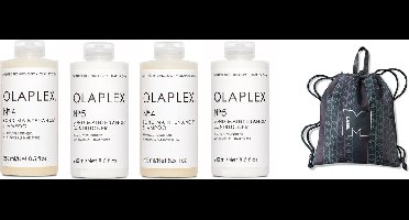2x Olaplex No.4 Bond Maintainance Shampoo - 250 ml + 2 x Olaplex No.5 Bond Maintenance Conditioner 250 ml + Gratis Label M Tas