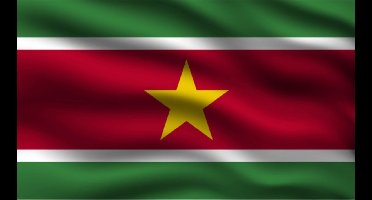Partychimp Surinaamse Vlag Suriname - 90x150 Cm - Polyester - Groen/Rood/Wit
