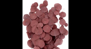 Boeket van gedroogde bloemen Artemio