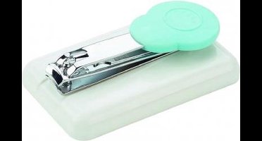 Nagelschaar op blok - Atlantis