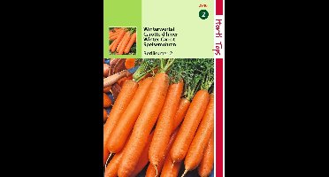 2 stuks Hortitops Wortelen Berlikumer 2