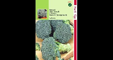 2 stuks Hortitops Broccoli Calabria