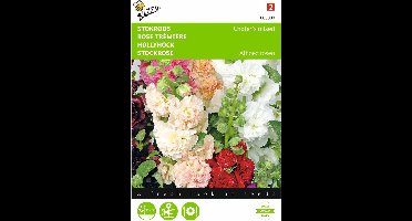 2 stuks - Buzzy - Althaea Rosea Fl.Pl. Chater s Gemengd