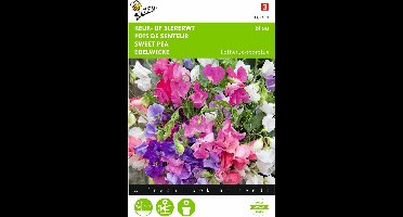 2 stuks - Buzzy - Lathyrus Odor. Bijou Vroegbl. Mengsel