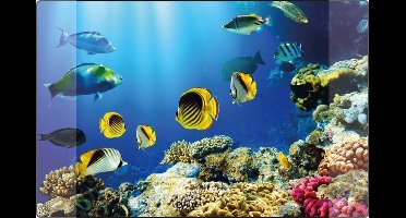 Kangaro bureau onderlegger - 38x58cm - Aquarium - antislip - met insteekvakken