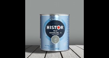 Acryl Hoogglans Lak 750 ml Tin