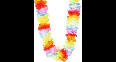 Vegaoo - Veelkleurig Hawaï bloemenketting
