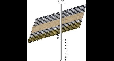 Dutack Fasteners Clipped Head Nail 2,8x50mm 34° verzinkt glad