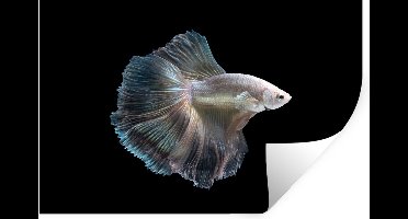 Muurstickers - Sticker Folie - Vis - Staart - Wit - 30x20 cm - Plakfolie - Muurstickers Kinderkamer - Zelfklevend Behang - Zelfklevend behangpapier - Stickerfolie