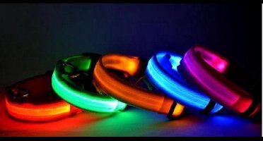 New Age Devi - L - Gele Hondenriem - Lichtgevend - Voor Nachtwandelingen