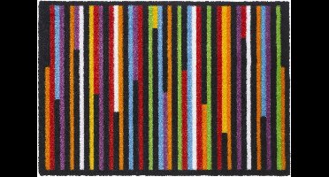 Multicolor Linea - kleurrijke deurmat - lijnen - 50x70cm - 100% polyamide - 600 g/m²